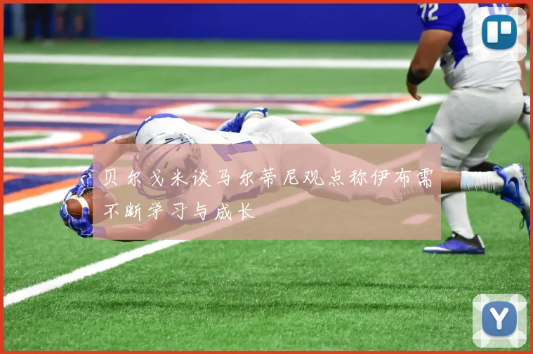 贝尔戈米谈马尔蒂尼观点称伊布需不断学习与成长